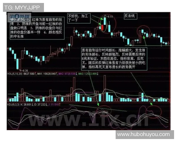 广州篮球队的快速转换战术解析与实战应用探讨