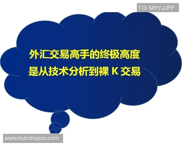 独家解析西安排球队的团队协作与其他球队的对比分析